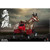 Boxed Horse: COO Model Aushiuguma Steed (Exclusive Version) (CM-SE084)