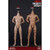 Boxed Figure: COO Model New Type Tall Muscled Male Body (CM-MB004)