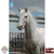 Boxed Figure: DiD 1/12th Japan Samurai - Uesugi Kenshin and White Horse (XJHC80001)