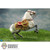 Boxed Horse: DiD Napoleon White War Horse (Prancing) (E60078)