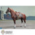 DiD Brown WWII German War Horse (E60084) - Preorder Deposit