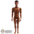 Figure: DiD Ryan