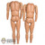 Figure: DiD Shorter Base Body (No head, hands or feet)