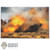 Display: DiD WWI Explosion 2.0 (20.75in X 13.5in)
