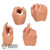 Hands: DiD Mens 4 Piece Hand Set