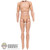 Figure: DiD Tall Slimmer Body w/ Painted Forearms
