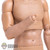 Figure: DiD Tall Slimmer Body w/ Painted Forearms