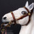 Gear: DiD Napoleonic Horse Bridle