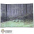 Display: DiD Fern Forest Backdrop (18.75" X 13.5") (READ NOTES)
