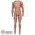 Figure: DiD Advanced Tall Slim Body w/ Painted Arms