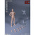 Boxed Figure: DamToys 1/12th Drawman (DAM-DPS01)