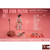 Boxed Figure: DamToys 1/12 The King Pelvis (DAM-PES023)