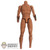 Figure: DamToys Muscle Body w/Tattoos