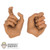 Hands: DamToys Weapon Grip