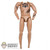 Figure: DamToys Taller Milevsky Base Body