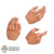 Hands: DamToys Hand Set