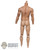 DAMAGED Figure: DamToys New Muscle Body w/Ankle Pegs