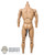 Figure: DamToys Muscle Body w/Neck Post (Lighter Tone)