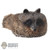 Hat: DamToys Mens Molded Coonskin Cap