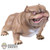 Dog: DamToys Bulldog