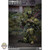 Boxed Figure: Easy Simple SDU Assault Team Chronology (ES-26070A)