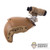 Helmet: Easy & Simple Airframe Ballistic w/Skeleton NVG Shroud & PVS-15 NVG
