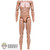 Figure: Facepool Shorter Slim Base Body