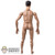Figure: Flagset SFG