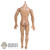 Figure: Flagset Base Body w/Bloody Hands & Feet