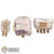 Pouch: Flagset Female Chinese Desert Camo Pouch Set
