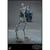 Boxed Figure: Hot Toys Star Wars ARF Trooper and 501st Legion AT-RT (TMS091)