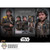 PREORDER Boxed Figure: Hot Toys Cassian Andor (MMS802)