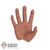 Hand: Hot Toys Right Grasping