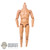 Body: Hot Toys Marty McFly Nude Body w/Neck Adapter (Shorter Body)