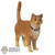 Cat: Hot Toys Goose