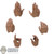Hands: Hot Toys Mens Jedi Action Hand Set