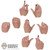 Hands: Hot Toys Female Youth Hands w/ Black Nails