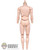 Figure: Sideshow Male Nude Body w/ Neck
