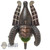 Head: TBLeague Osiris (Green)