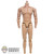 Figure: Present Toys Muscular Body w/Wrist Pegs