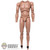 Figure: Present Toys Mens Nude Body w/ Pegs and Ankle Extenders