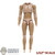 Figure: POP Toys 1/12 Base Body (READ NOTES)