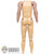 Figure: ThreeZero Mens Base Body w/Seamless Arms (READ NOTES)