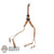 Harness: Ujindou Mens German Canvas Y-Straps