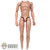 Figure: Ujindou Mens Body w/ Seamless Wrists and Pegs