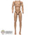 Figure: Ujindou Taller Nude Body w/ Feet and Pegs