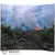 Display: Ujindou Burning Jungle Backdrop