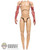 Figure: Why Studio Mens Nude Bloody Body w/ Pegs