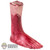 Limb: Why Studio Severed Foot