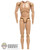 Figure: YRT Base Body (READ NOTES)
